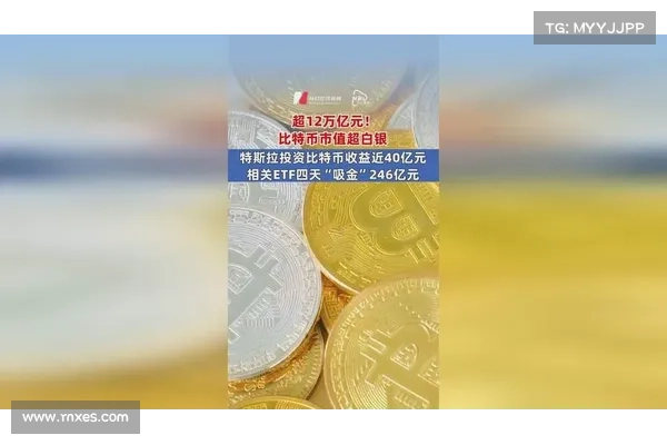 Bitwise:机构逆市加仓,比特币ETF规模正飞速壮大 Bitwise:机构逆市加仓,比特币ETF规模正飞速壮大